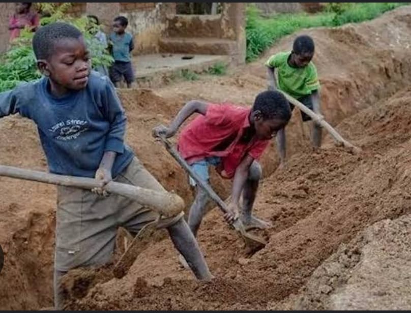 Child labour 