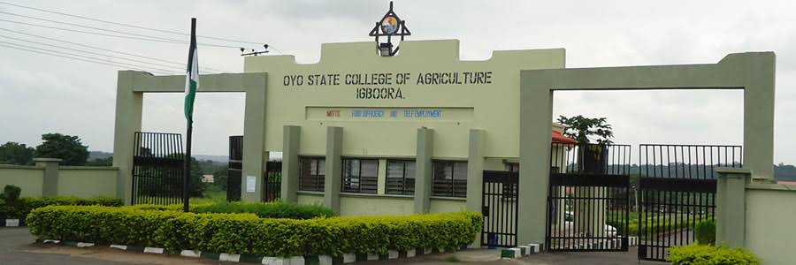 Oyo State College of Agriculture and Technology 
