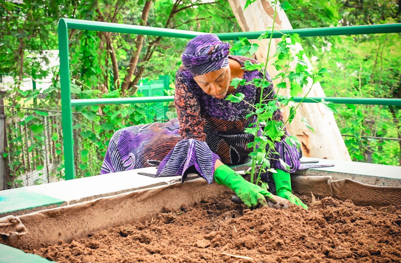 First Lady of the Federal Republic of Nigeria, Senator Oluremi Tinubu tendering her garden to encourage other women to join the #Every Home A Garden Competition with a N25m prize money...