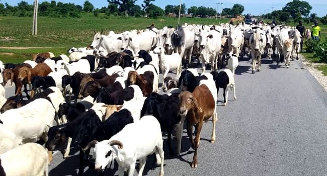 Ministry of Livestock Development